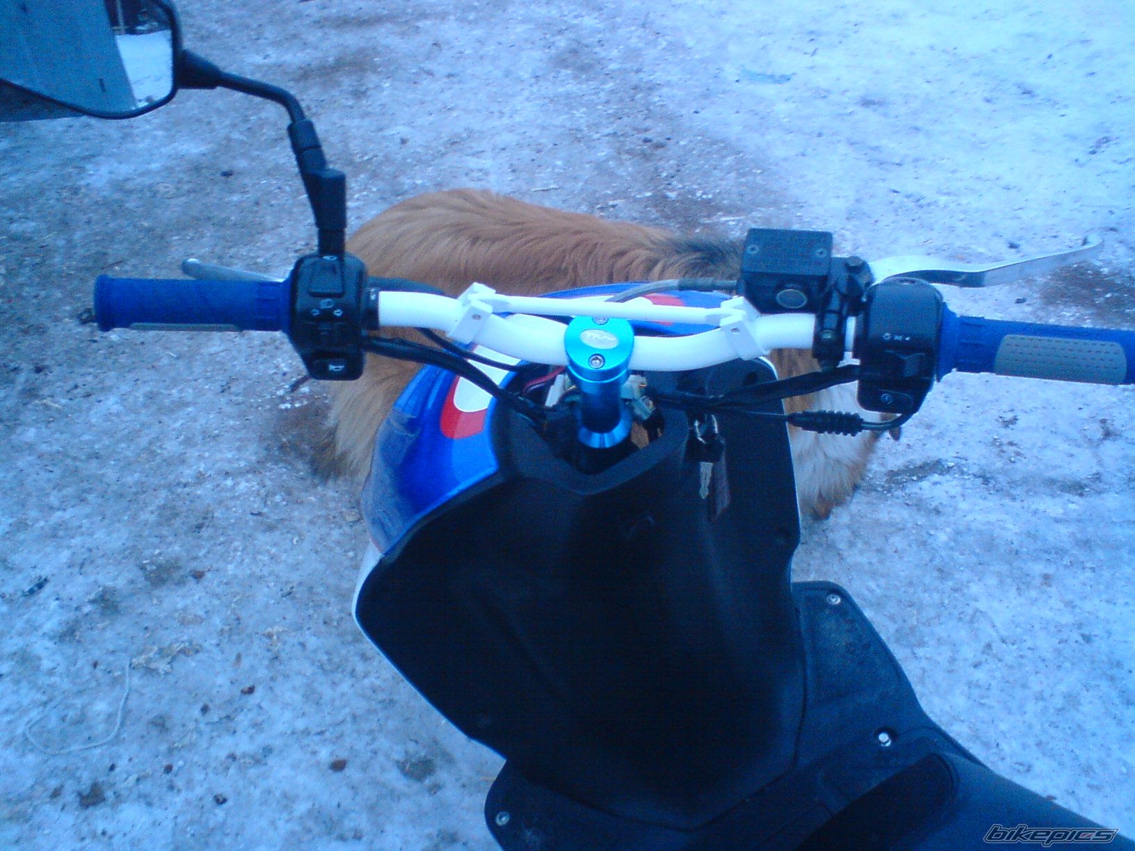 Photo 1539568