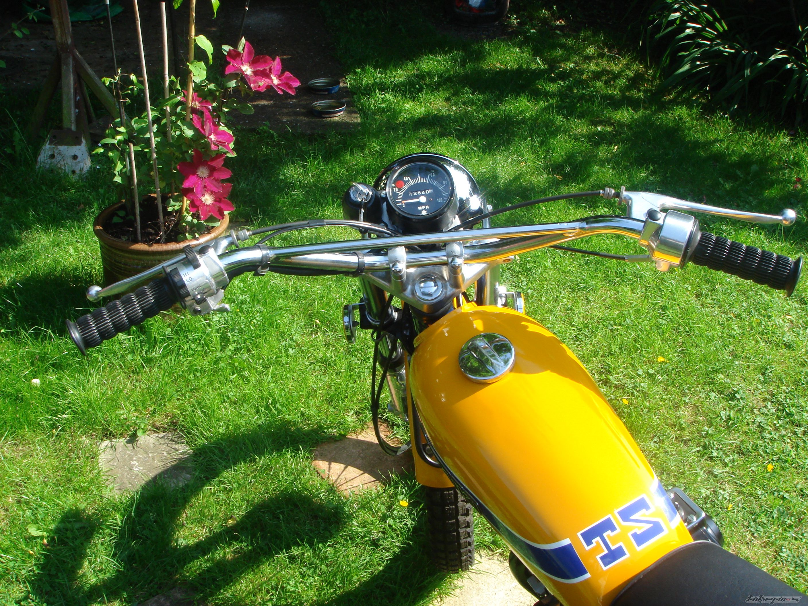 Photo 1539676