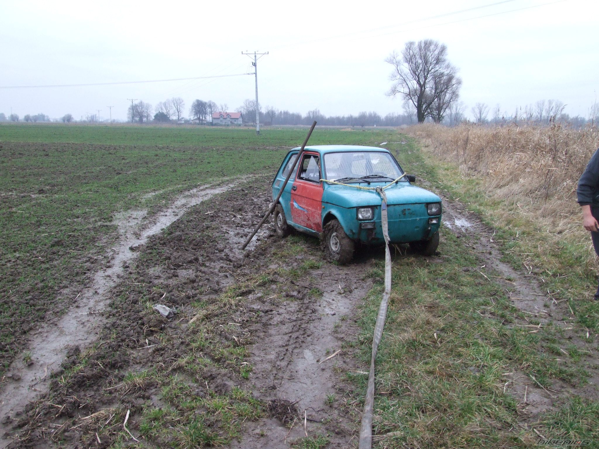 Photo 1539690