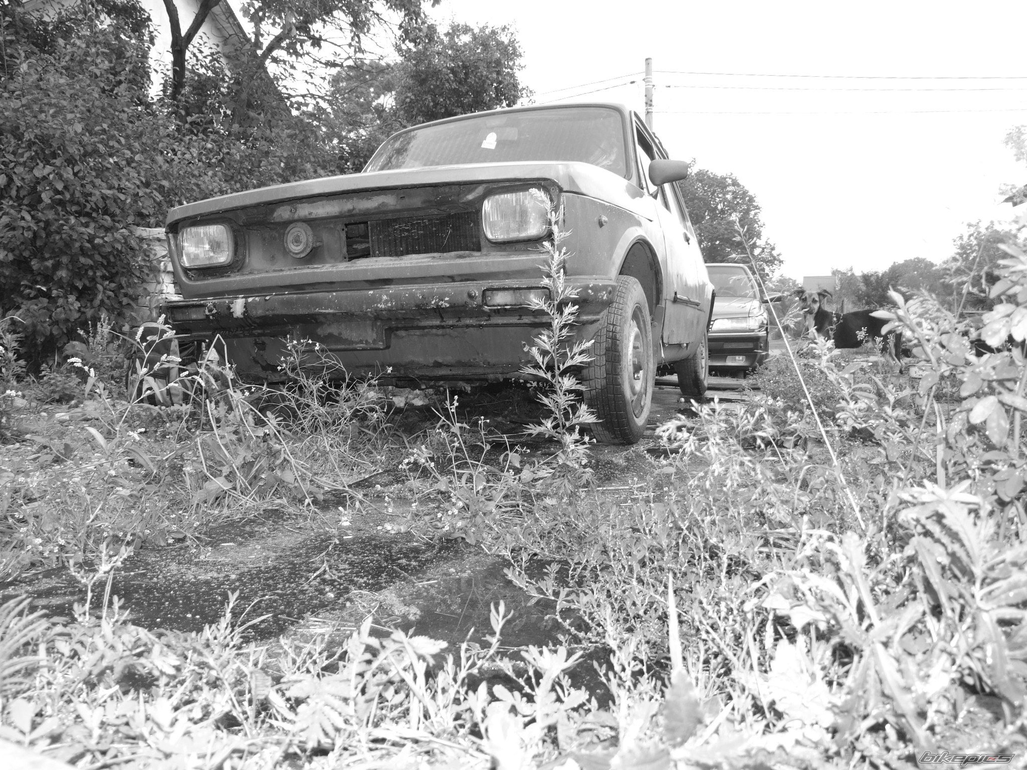 Photo 1539691