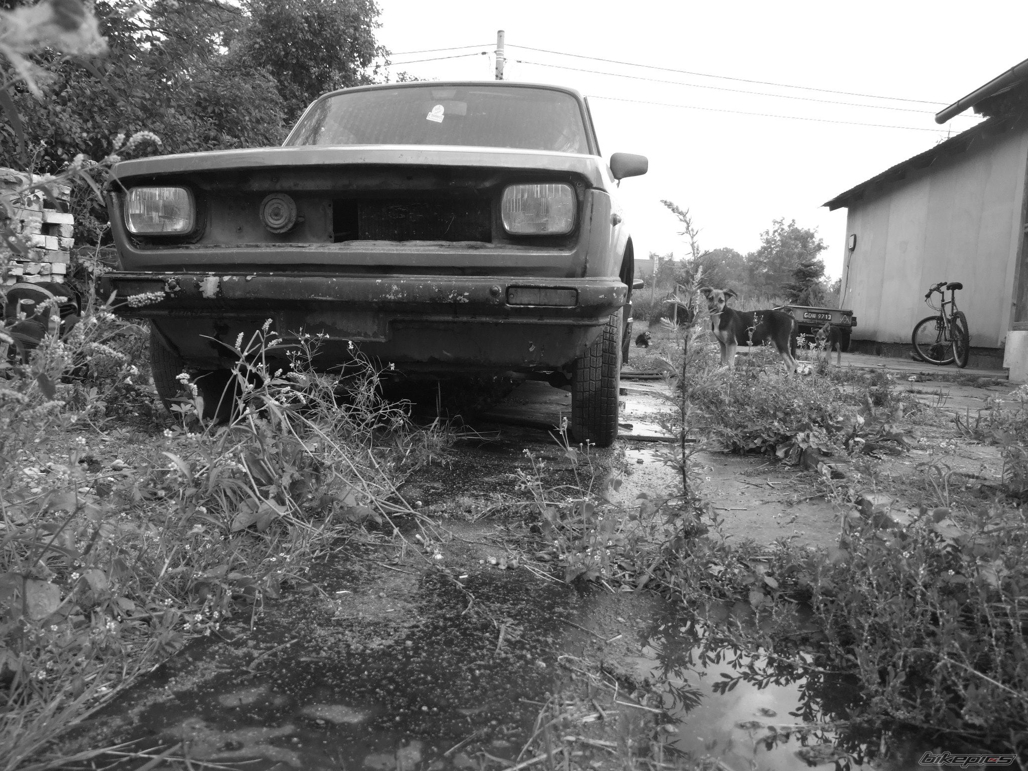Photo 1539693