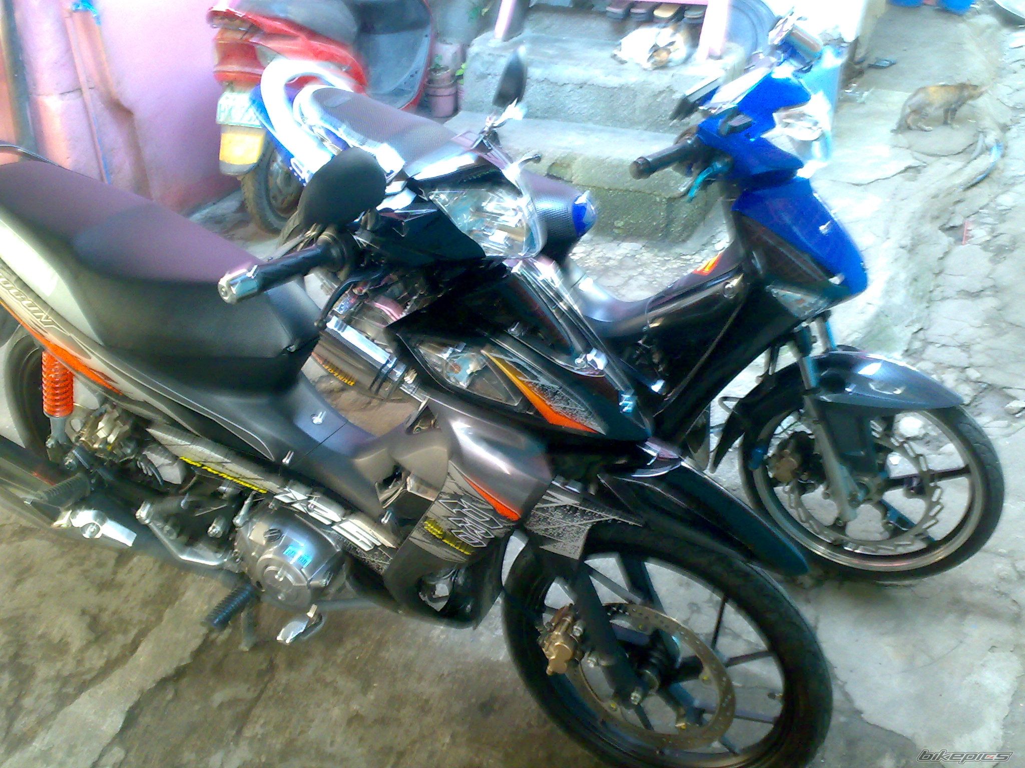 Photo 1539851