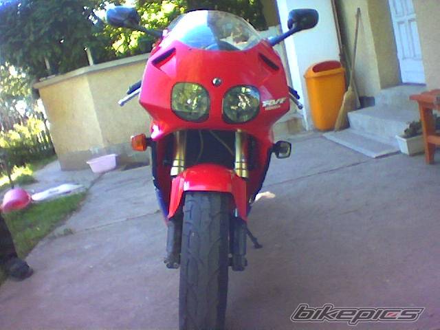 Photo 153994