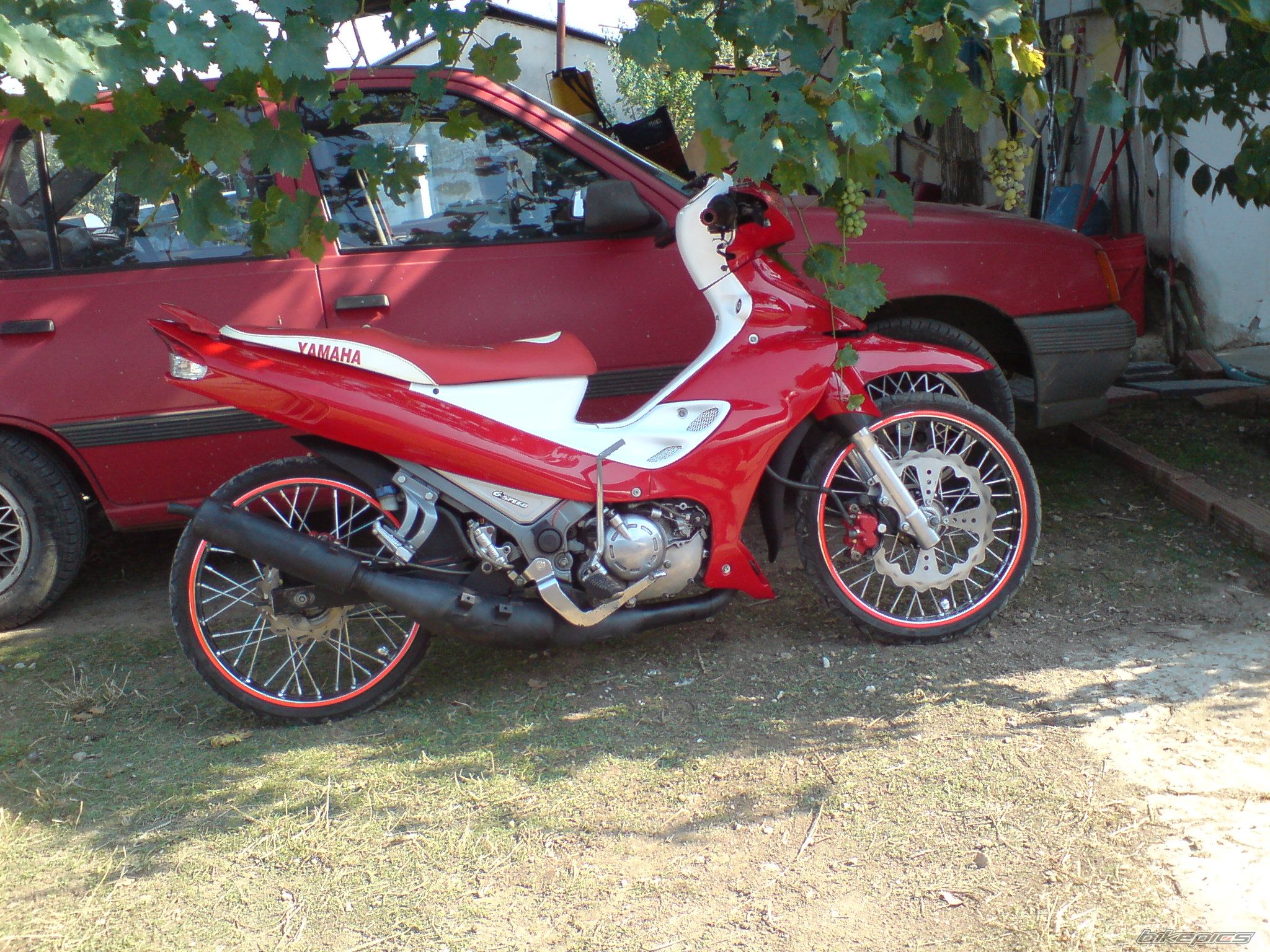 Photo 1540057