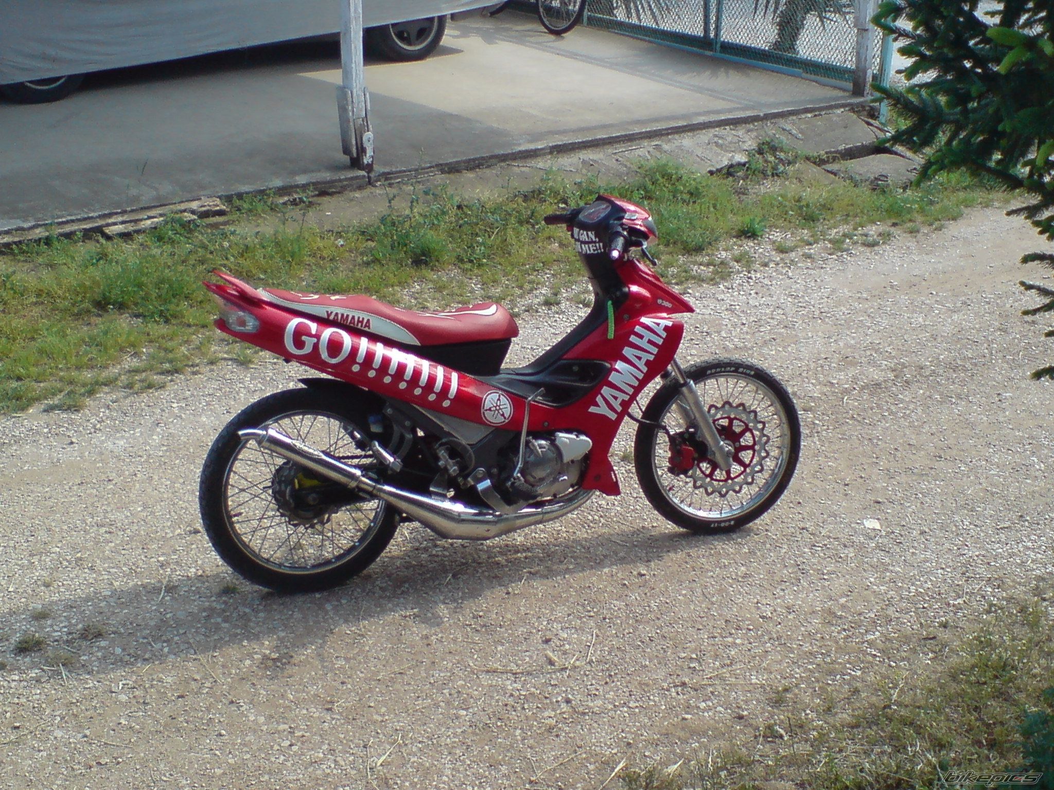 Photo 1540074