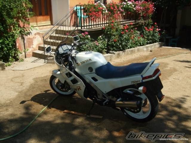 Photo 1540176