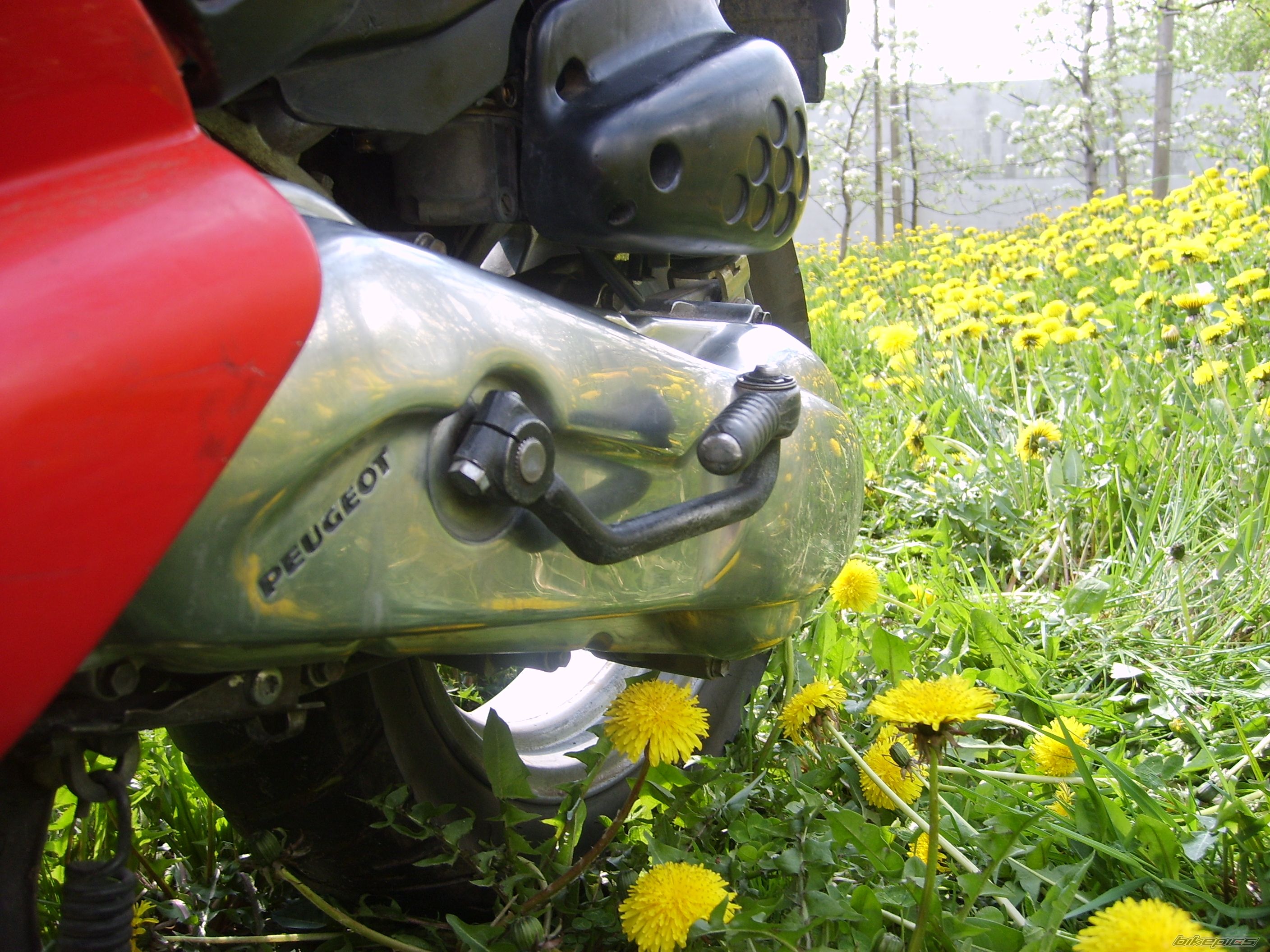 Bike Photo 1540181