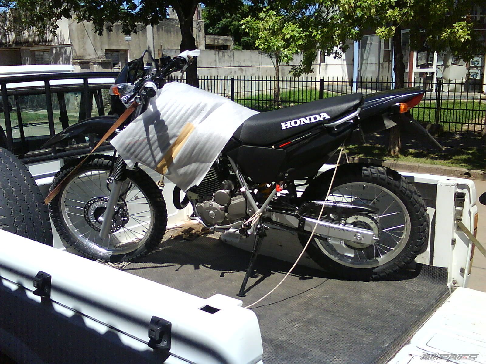Photo 1540223