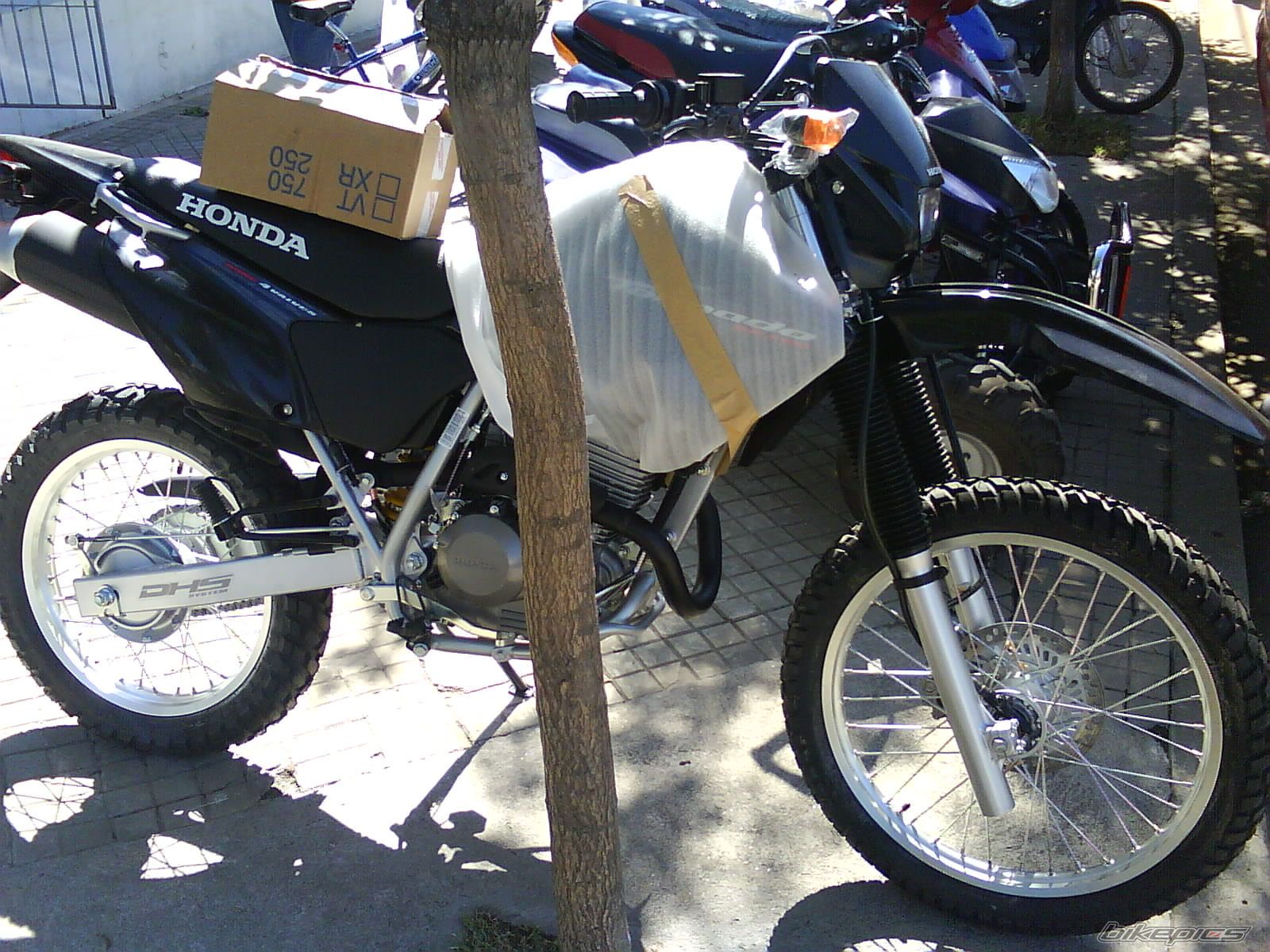 Photo 1540236
