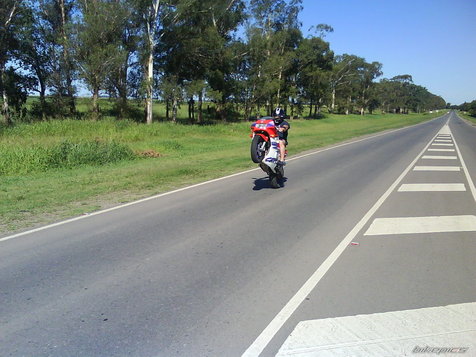 Photo 1540248