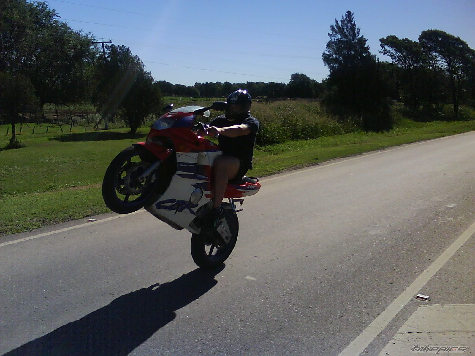Photo 1540250