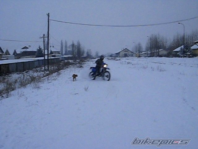 Bike Photo 1540287