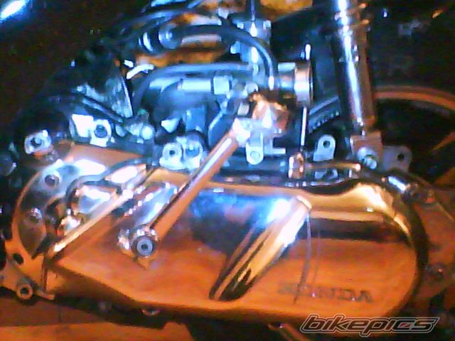 Photo 1540383