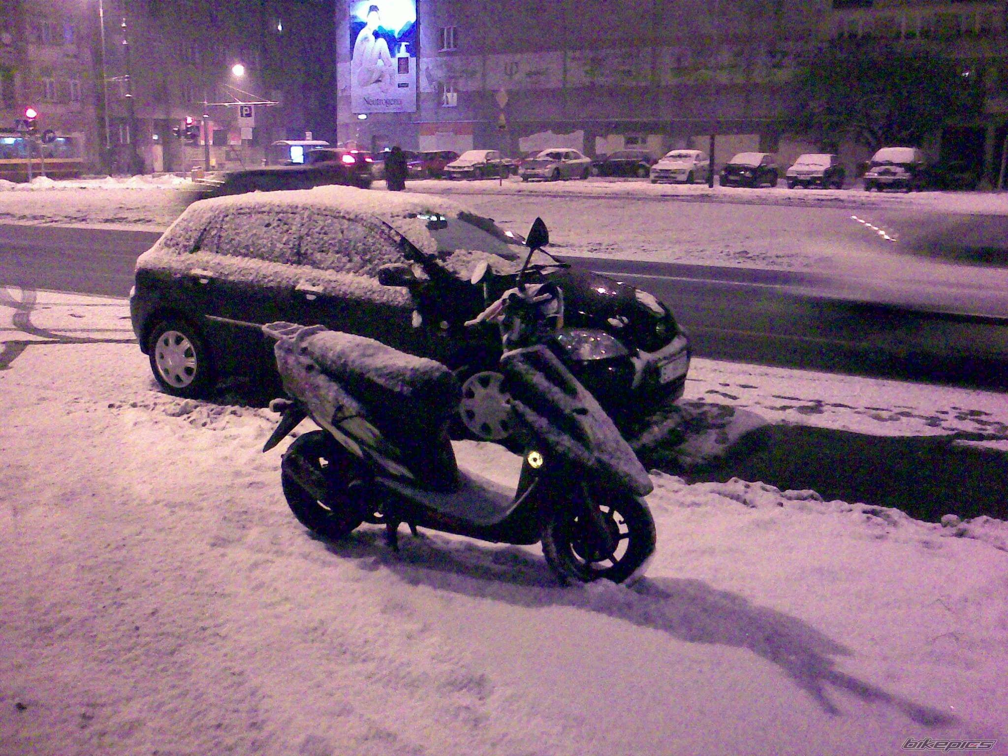 SXR 50 (Baja)