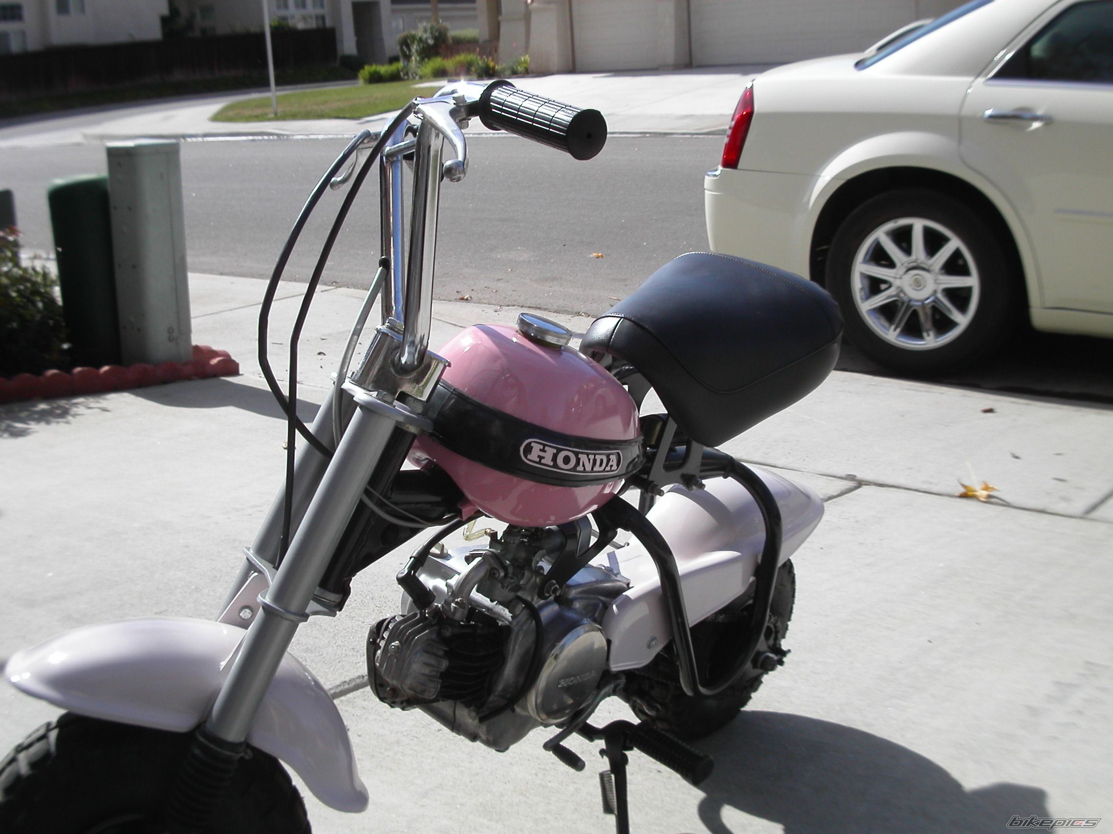 Photo 1540476