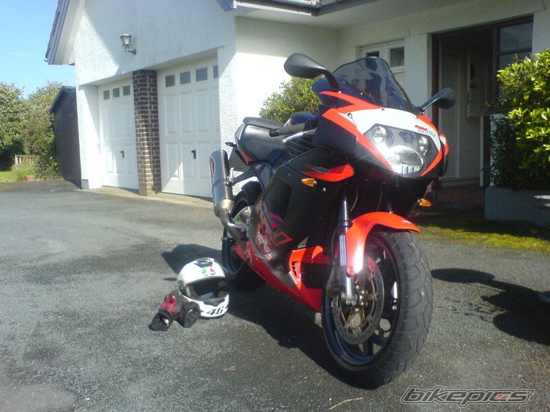 Photo 1540493