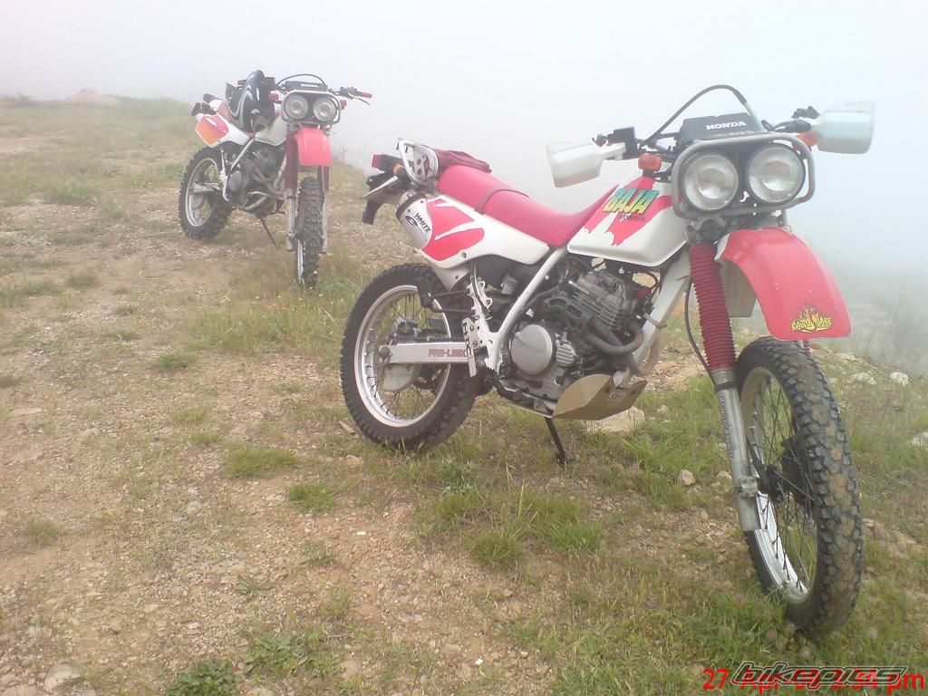 Photo 1540561