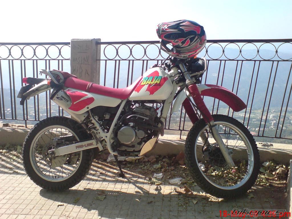 Photo 1540568