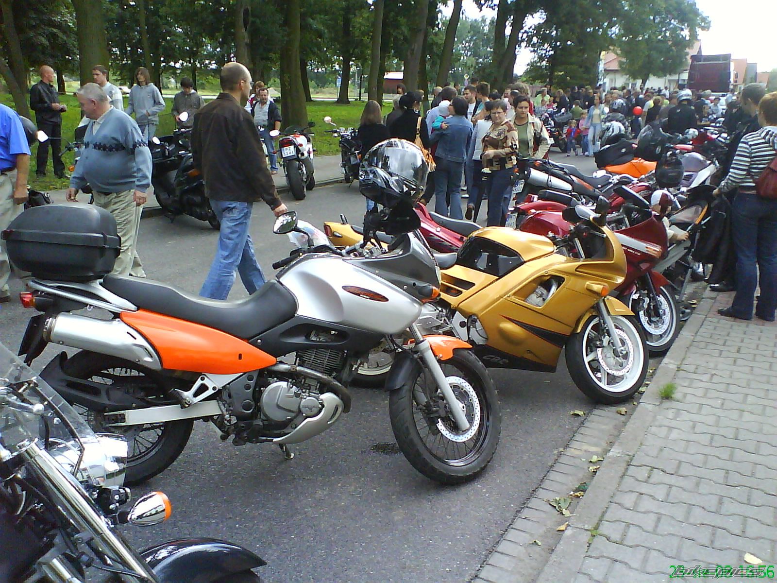 Photo 1540572