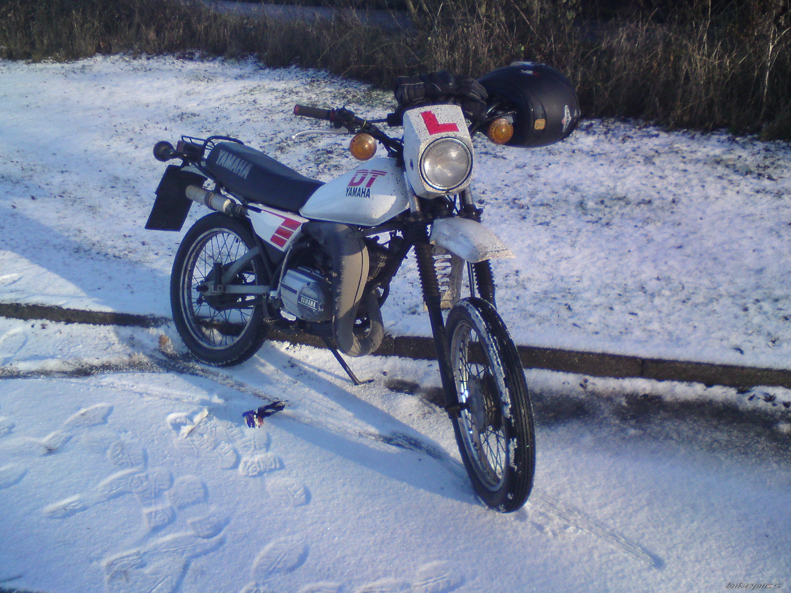 Photo 1540585