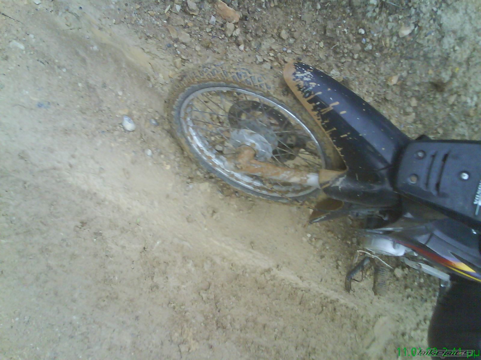 Photo 1540682