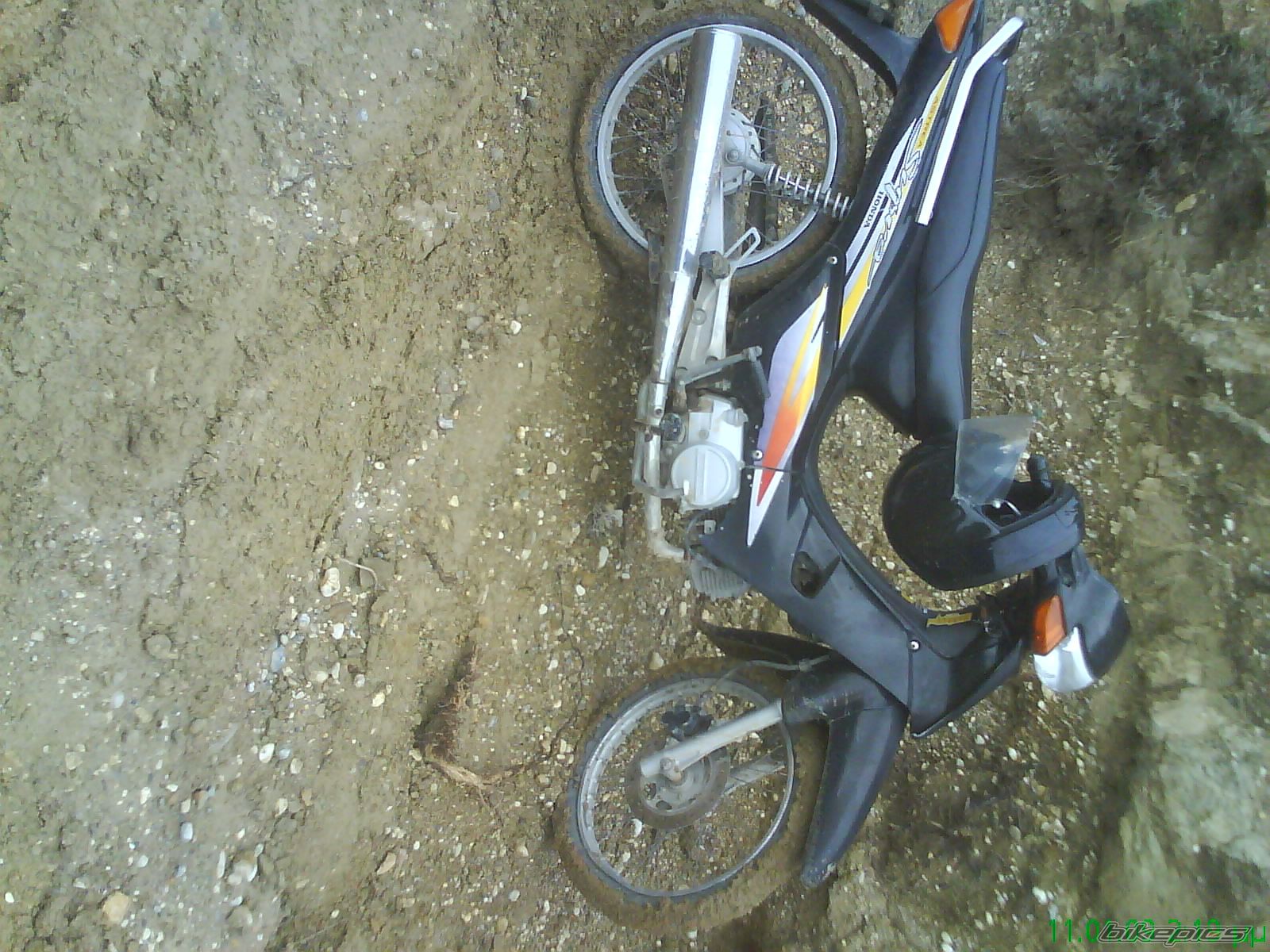 Photo 1540685