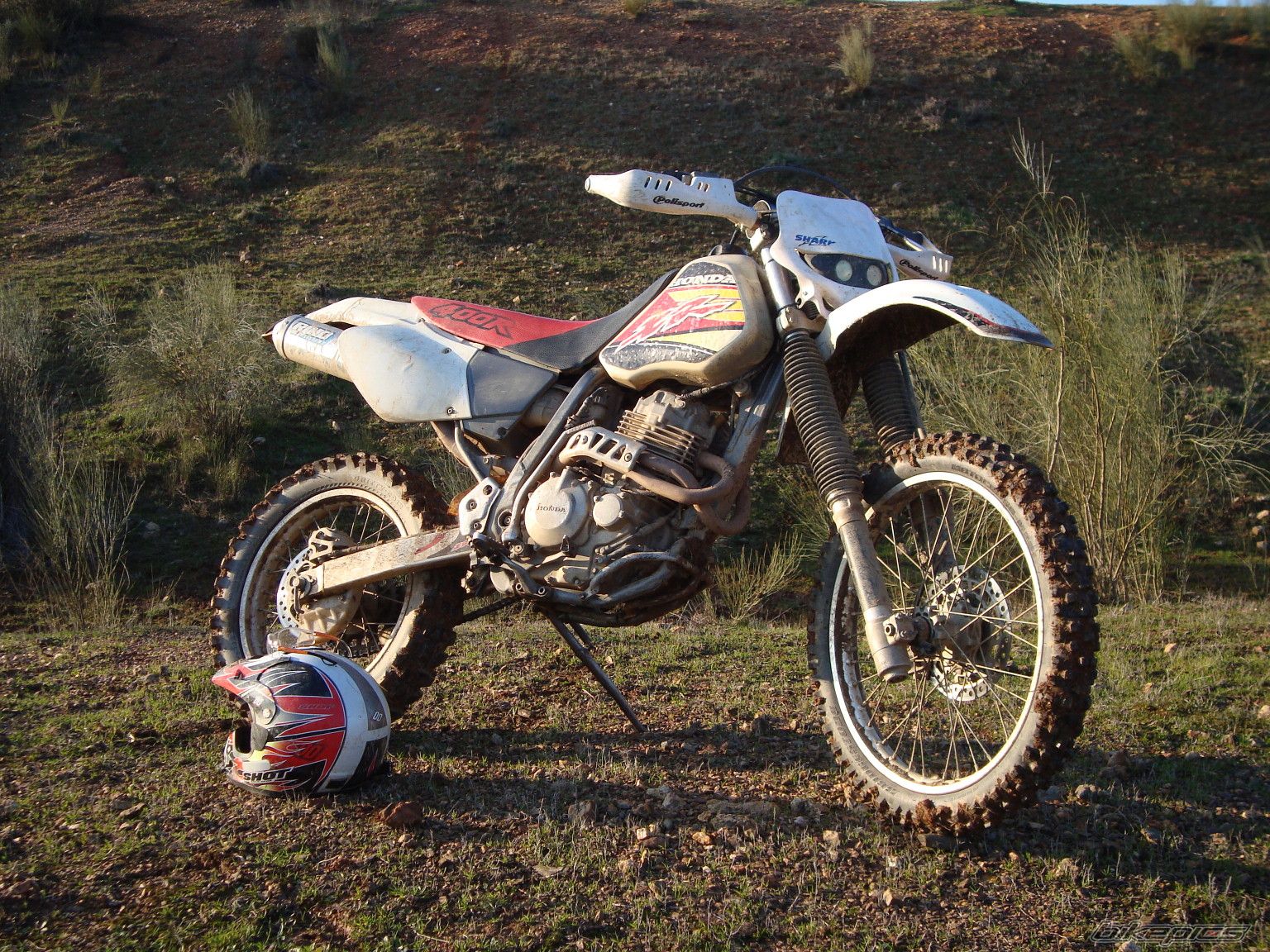 Bike Photo 1540703
