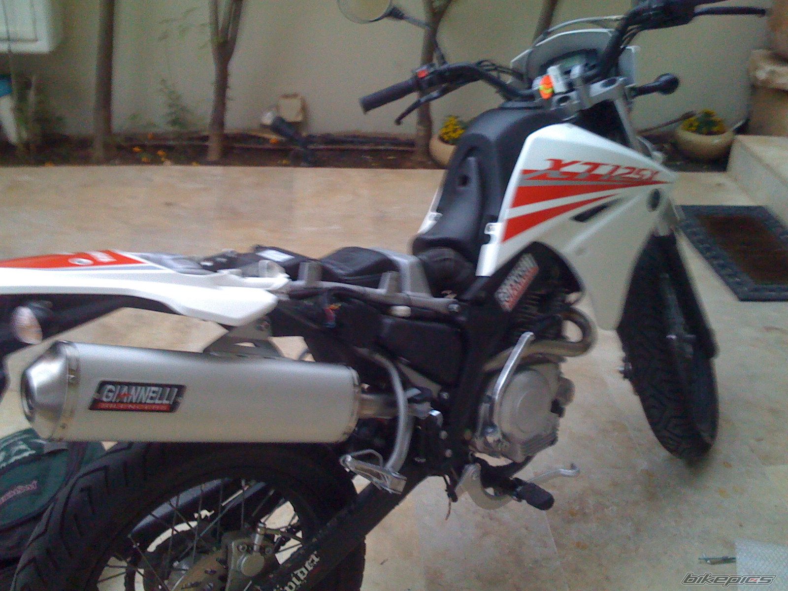 Photo 1540729