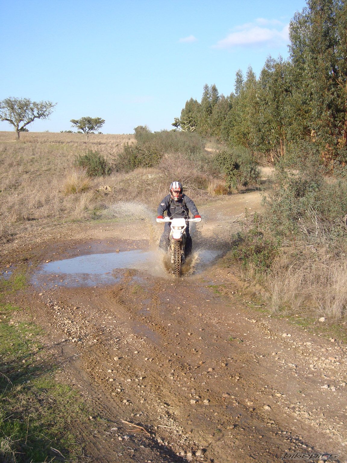 Bike Photo 1540738
