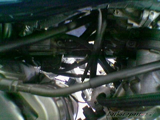 Photo 1540769