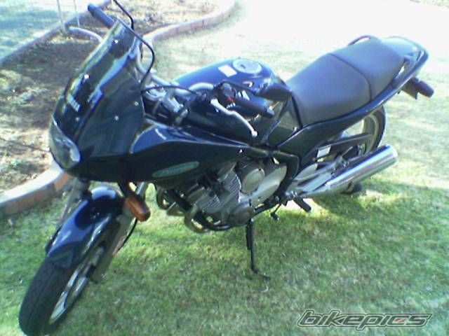 Photo 1540771