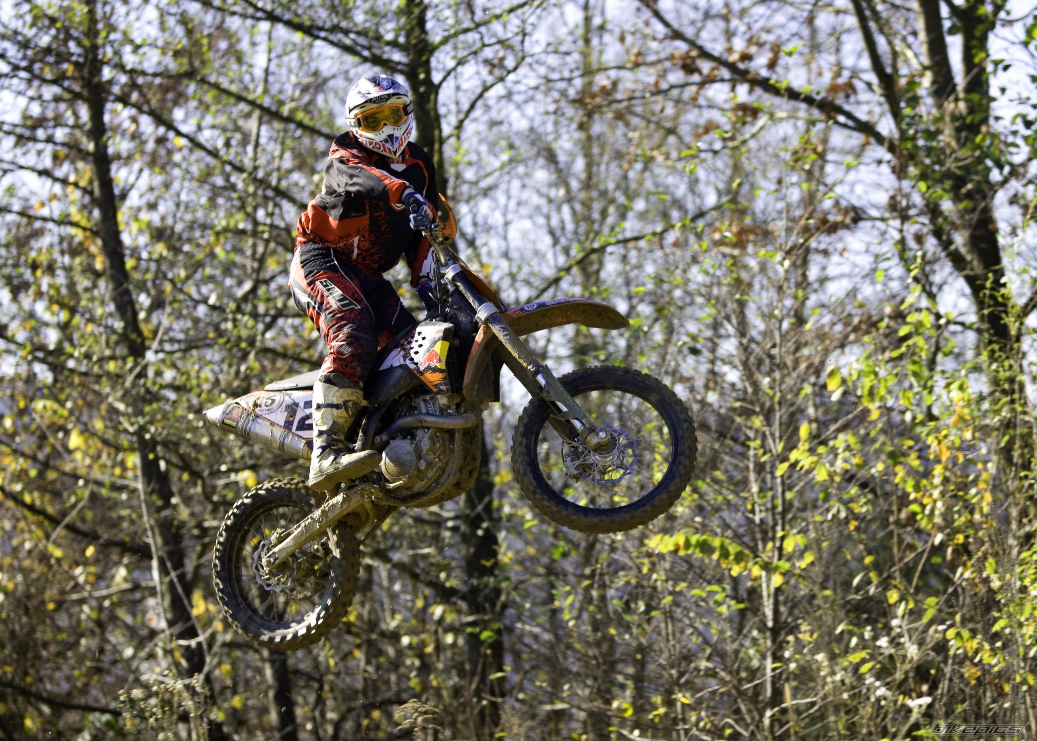 Bike Photo 1540831