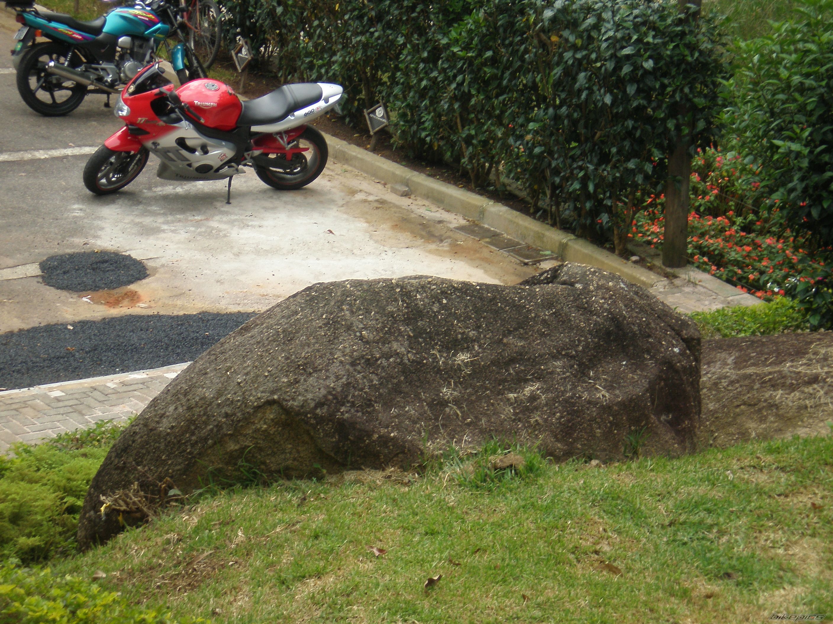 Photo 1540964