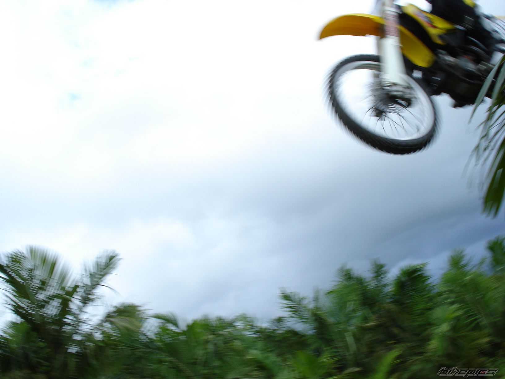 Photo 1541055