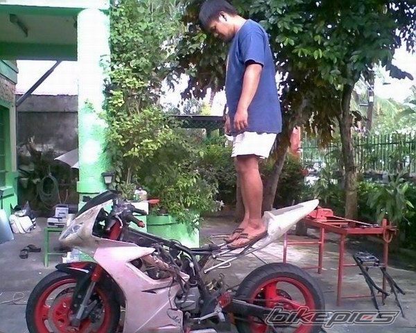 Photo 1541116