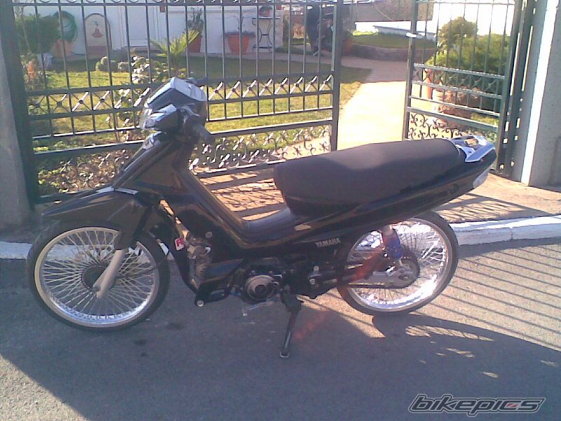 Photo 1541154