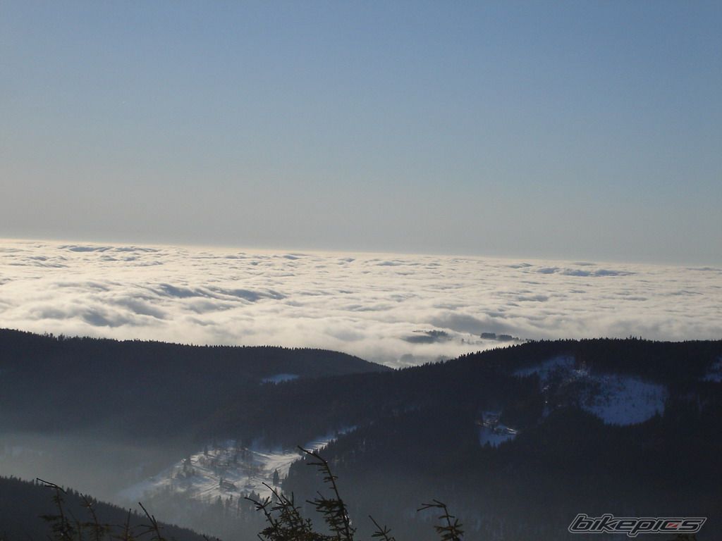 Photo 1541156
