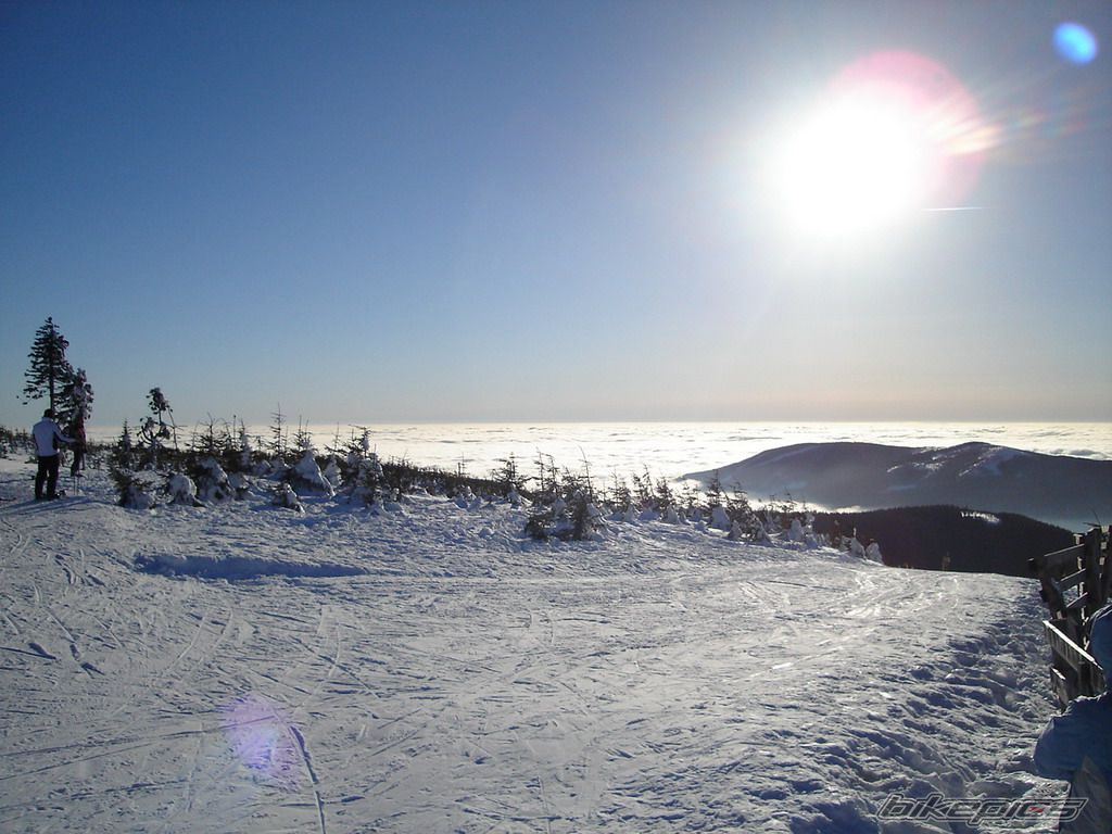 Photo 1541159