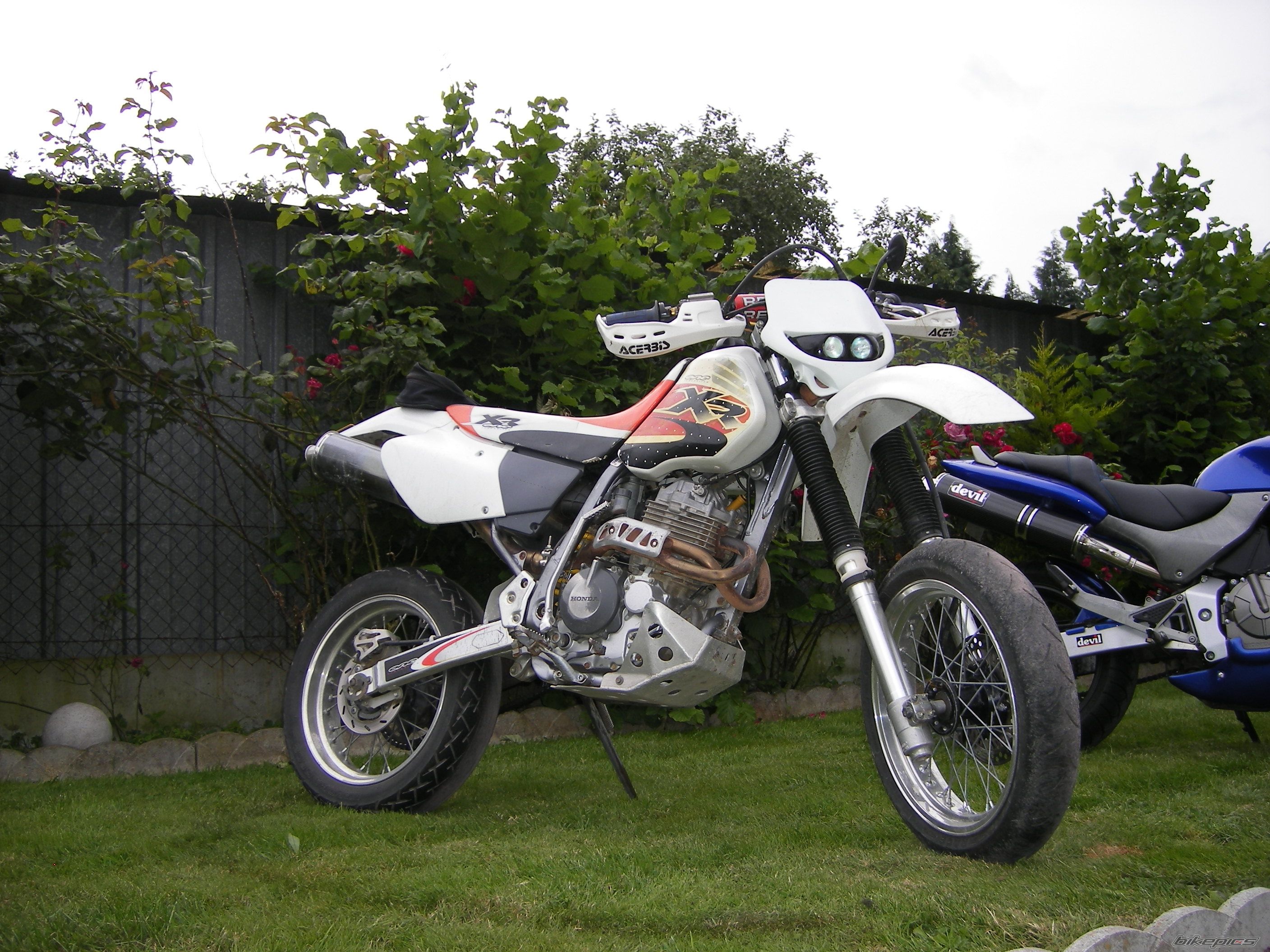 Photo 1541216
