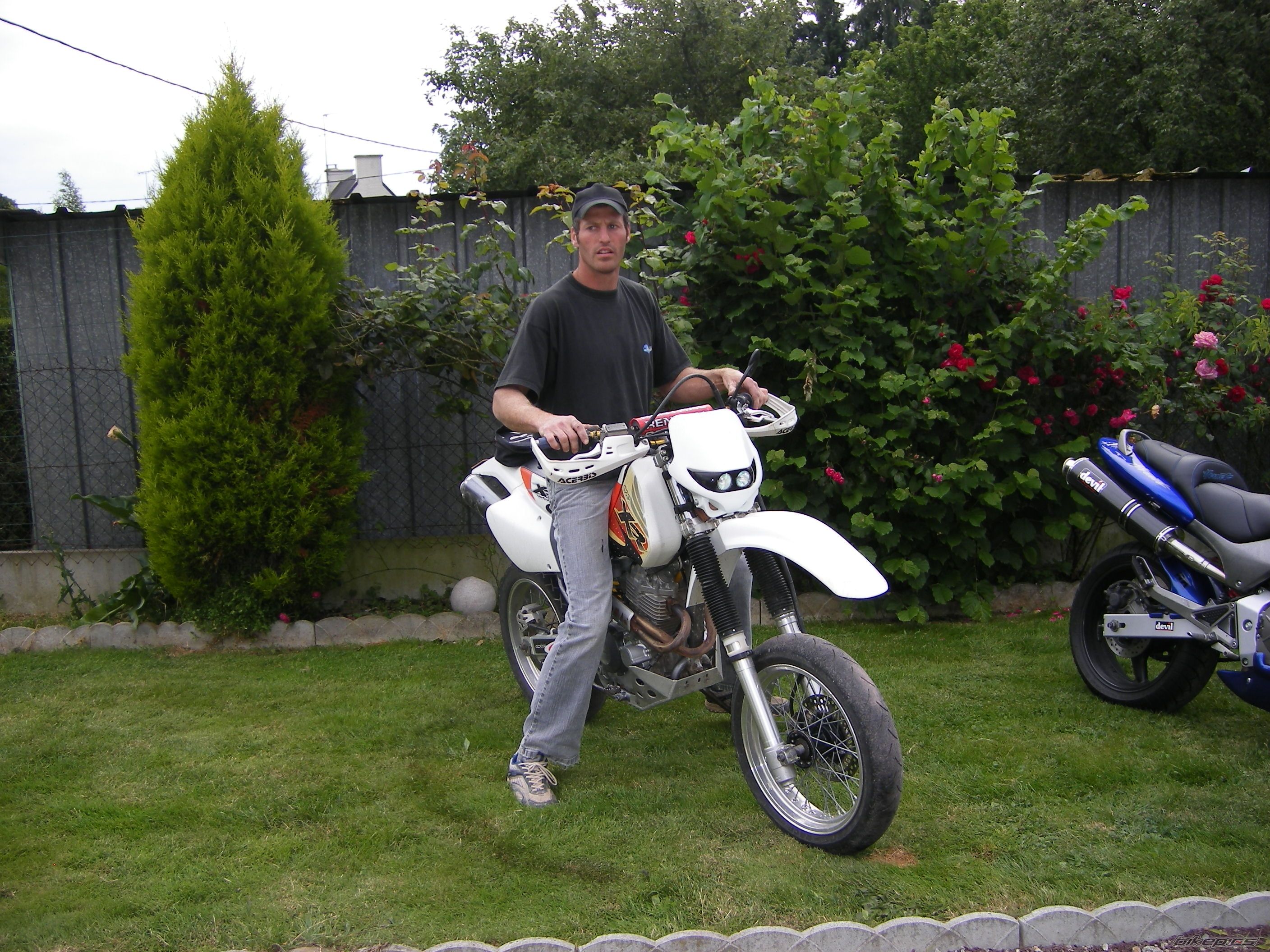 Photo 1541228