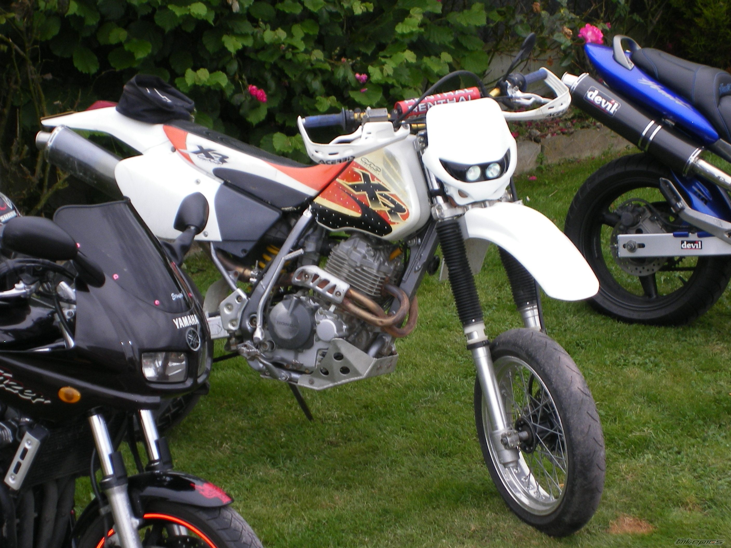 Photo 1541232