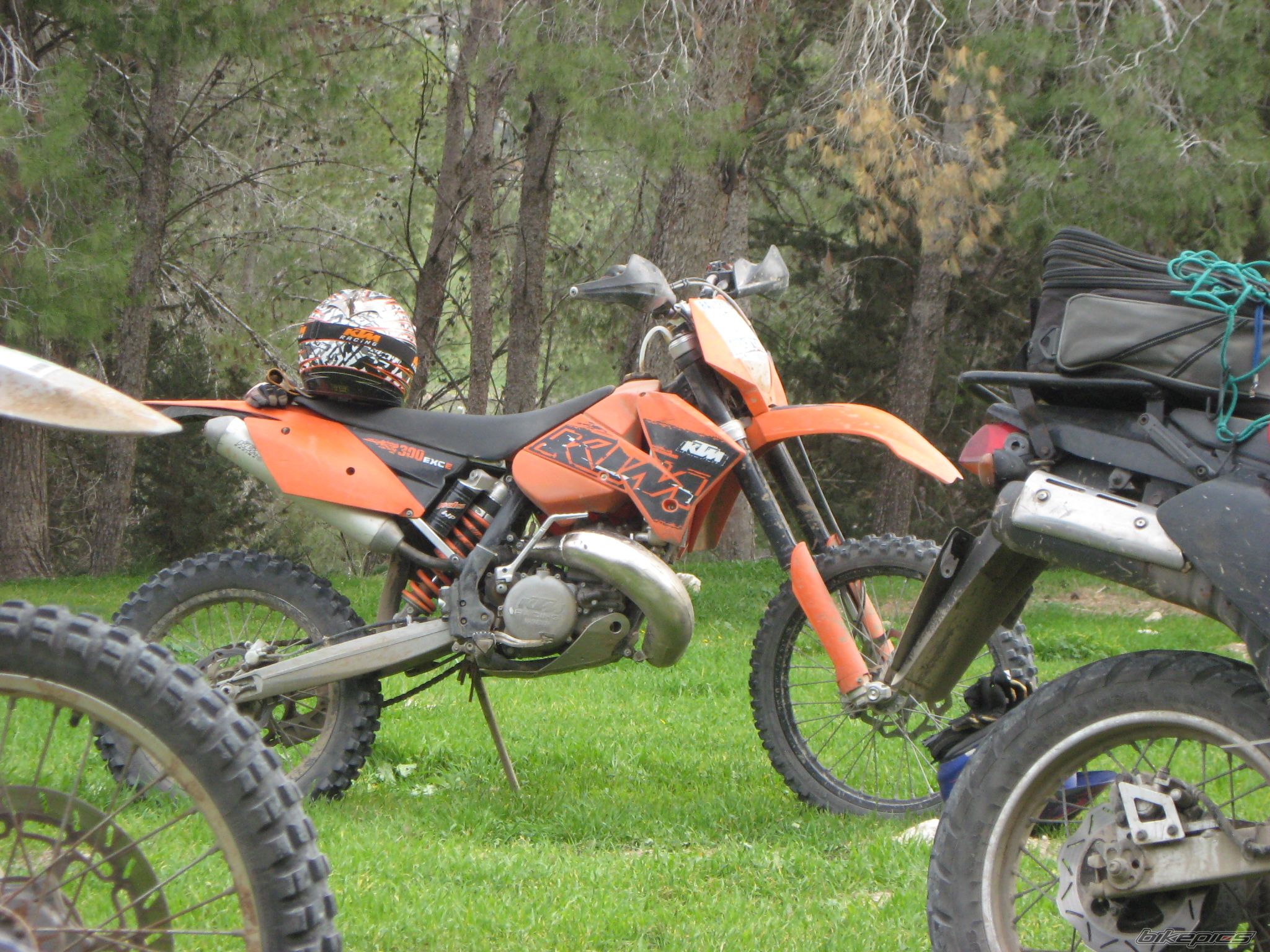 Photo 1541275