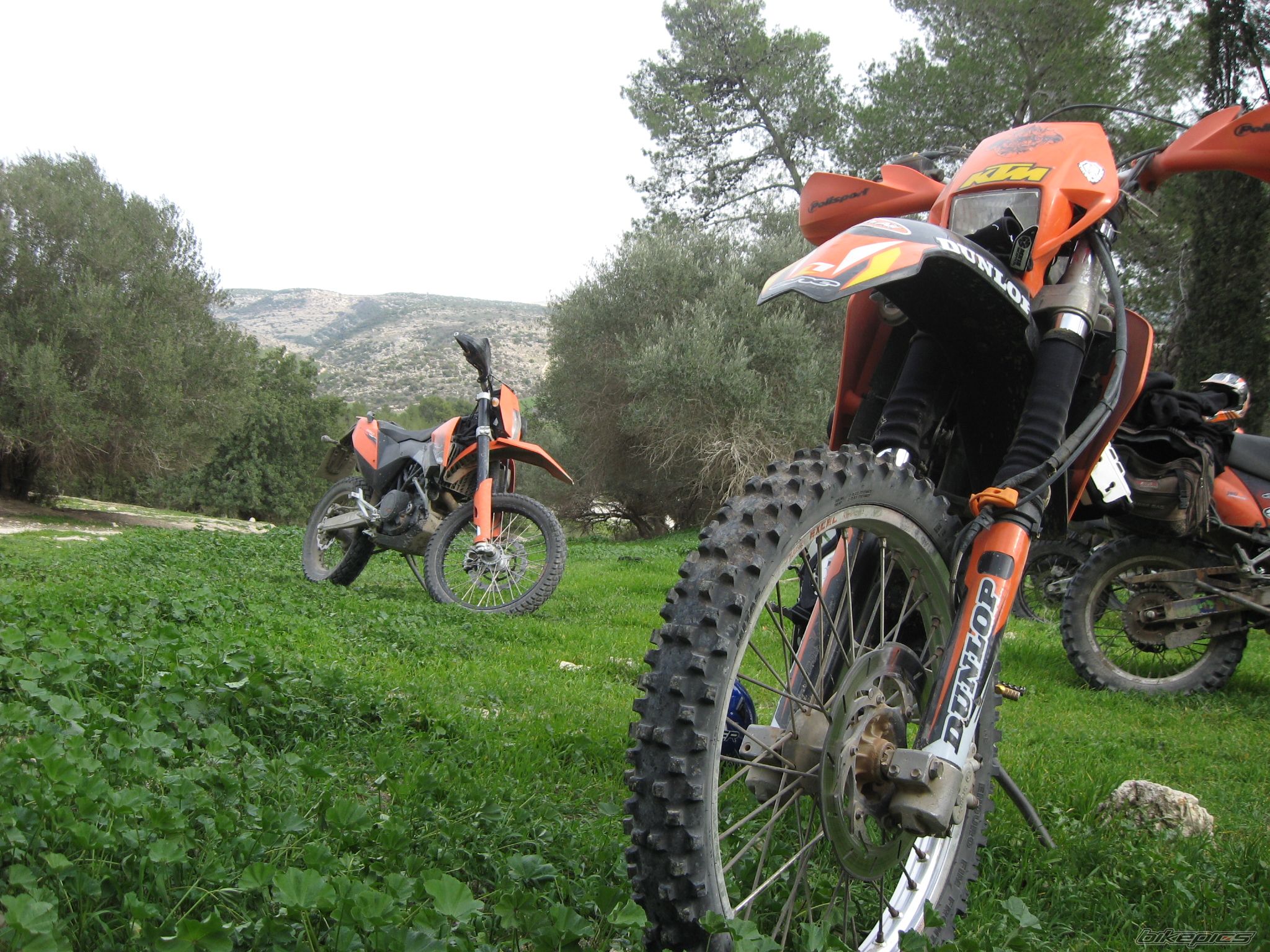 Photo 1541281