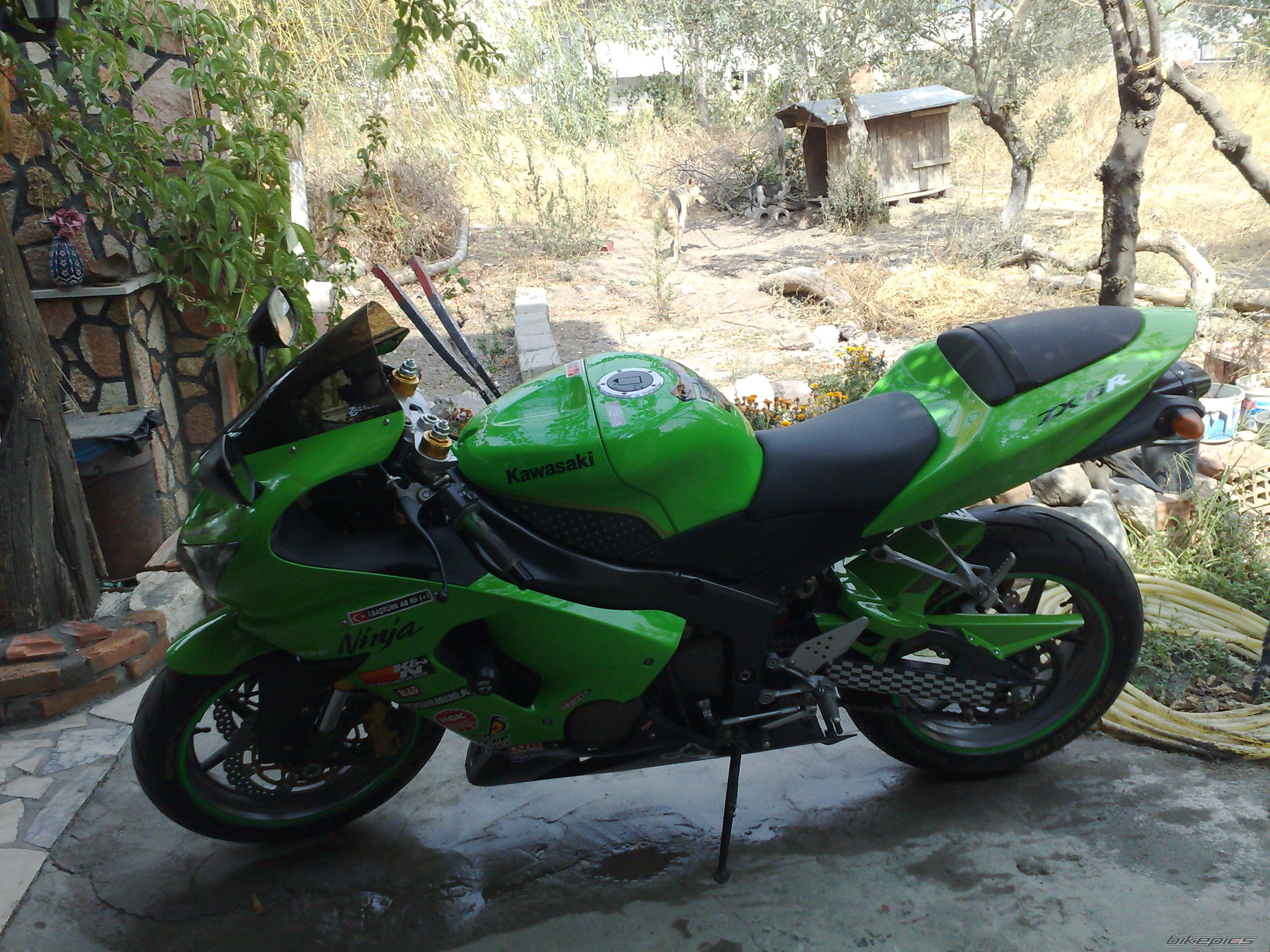 Photo 1541285