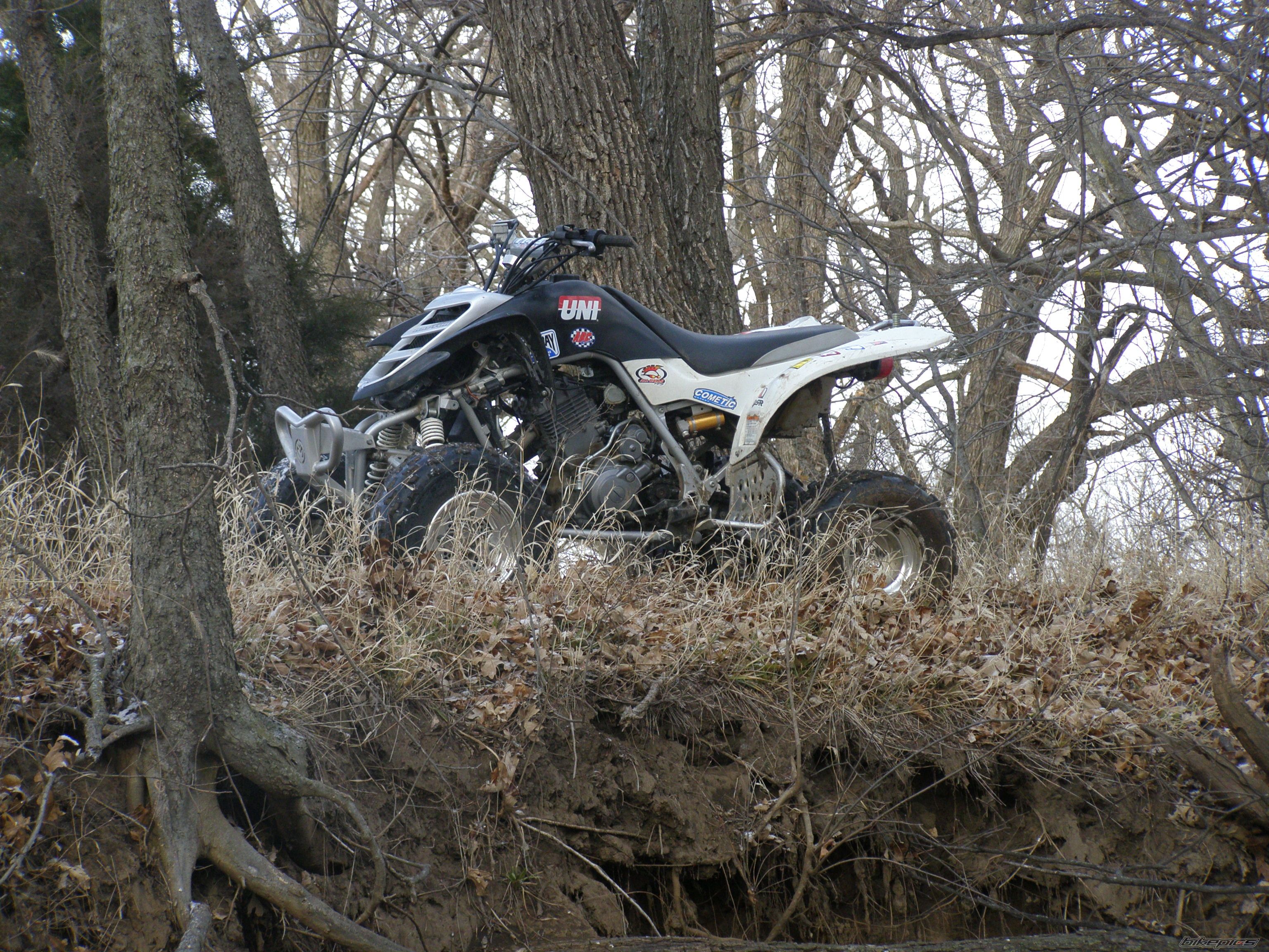 Photo 1541331