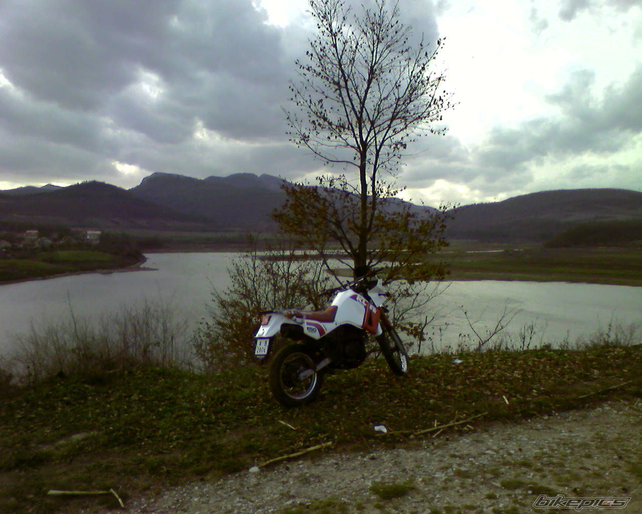 Photo 1541340
