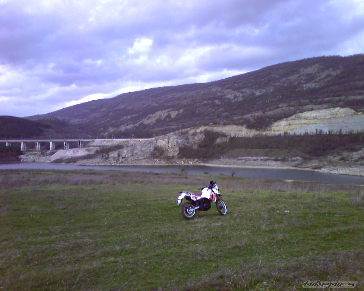 Photo 1541341
