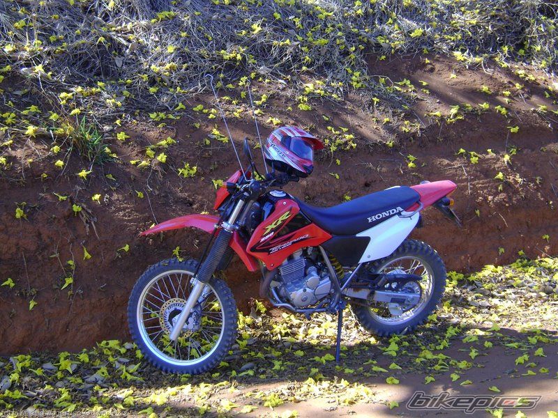 Bike Photo 1541358