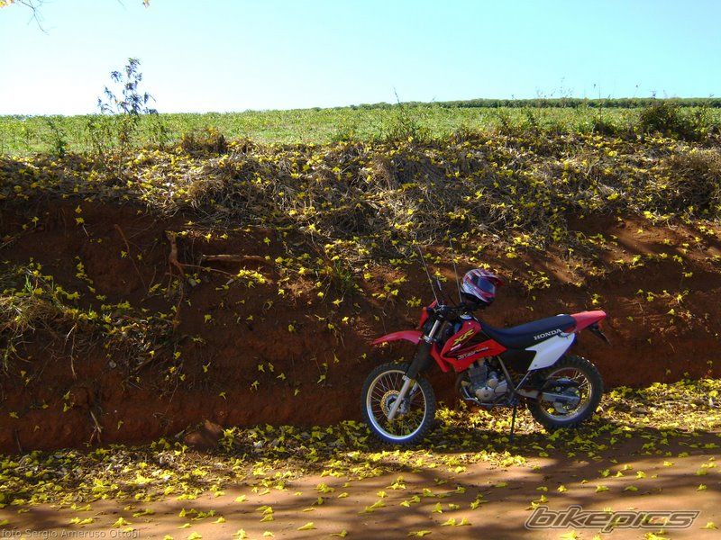 Bike Photo 1541359