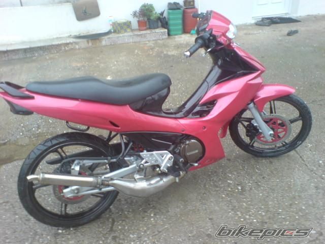 Photo 1541370